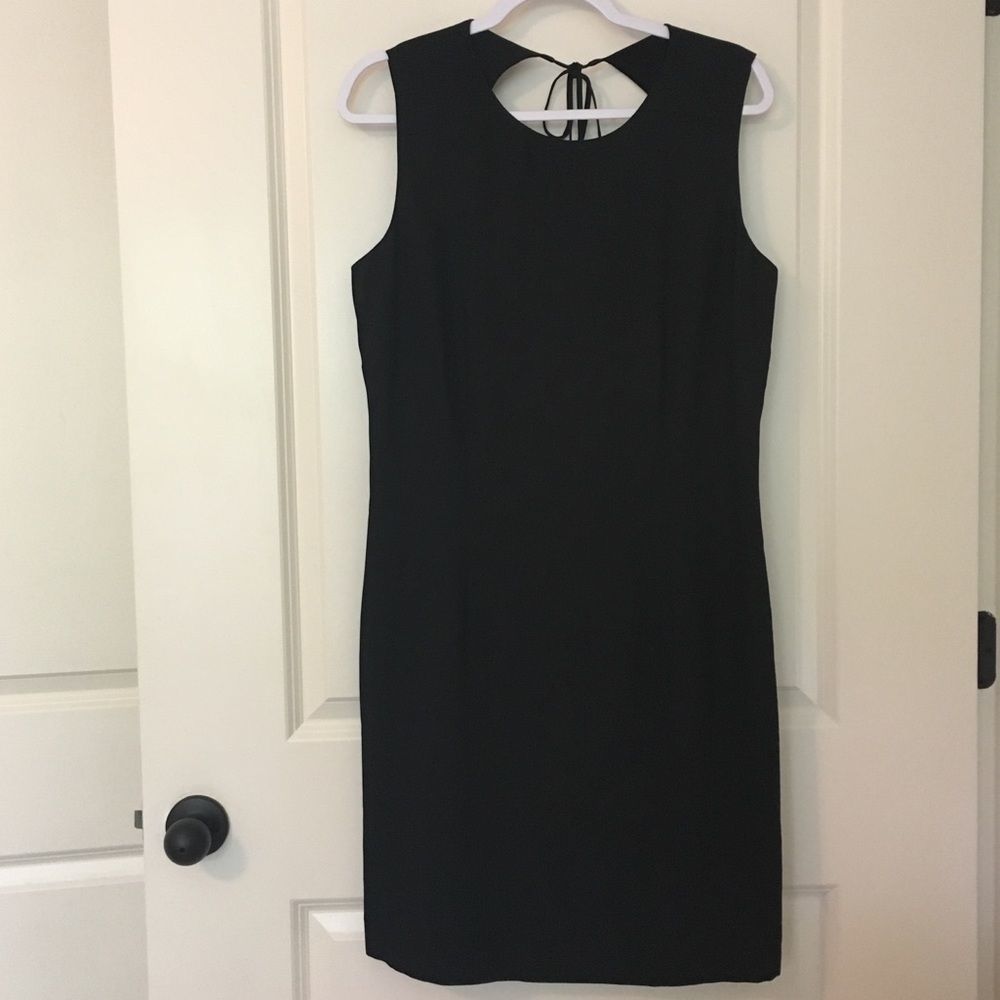 NWT blushe Open Back Dress